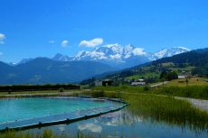 B-3-Galerie-Natur-Biotop-1