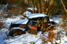 17-Gal-B-Autofriedhof