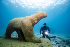 Musée Subaquatique de Marseille, MSM, Plage des Catalans. Le Musée Subaquatique de Marseille est une installation « multi-artistes » de 10 œuvres située à 100 mètres au large de la plage des Catalans et immergée à 5 mètres de profondeur.