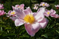 B-DSC04880