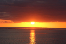 Gal-1-IMG_2795-B