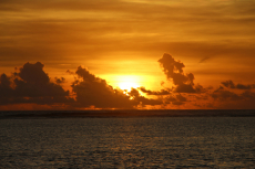 Gal-2-IMG_9240-B
