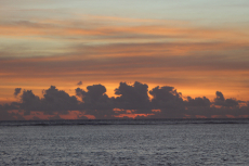 Gal-3-IMG_9259-B