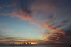 Gal-4-IMG_9258-B