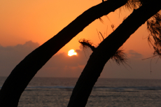 Gal.-IMG_1836-B