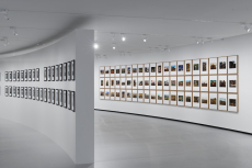 B-Gal-8_-Lawler_-Levine